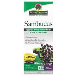 Nature S Answer Sambucus Black Elderberry Alcohol Free 2 500 Mg 4 Fl Oz 120 Ml