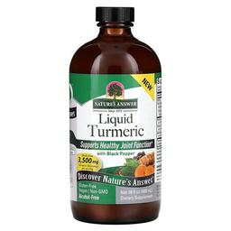 Nature S Answer Liquid Turmeric With Black Pepper Alcohol Free 16 Fl Oz 480 Ml