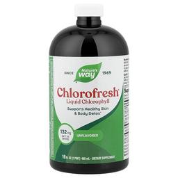 Nature S Way Chlorofresh Liquid Chlorophyll Unflavored 16 Fl Oz 480 Ml
