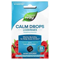 Nature S Way Calm Drops Lozenges Raspberry 24 Lozenges