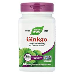 Nature S Way Ginkgo Standardized Extract 120 Vegan Capsules