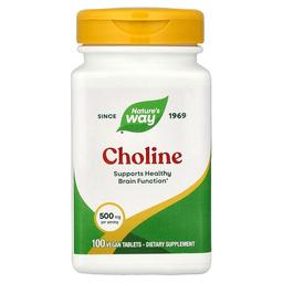 Nature S Way Choline 500 Mg 100 Vegan Tablets