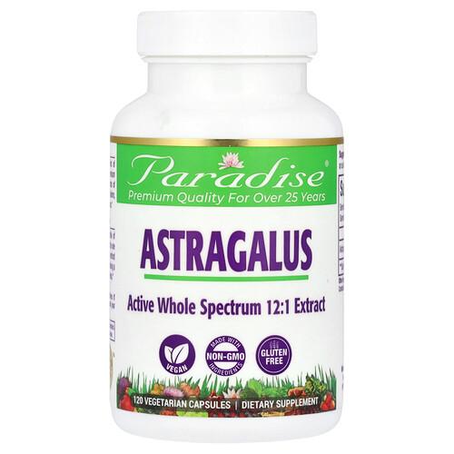 Paradise Herbs Astragalus 120 Vegetarian Capsules 250 Mg Per Capsule product image