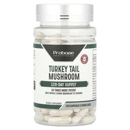 Probase Nutrition Turkey Tail Mushroom 100 Mg 120 Capsules
