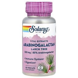 Solaray Vital Extracts Arabinogalactan Larch Tree 300 Mg 60 Vegcaps
