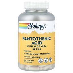 Solaray Pantothenic Acid With Aloe Vera 250 Vegcaps
