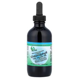 World Organic Ultra Concentrated Liquid Chlorophyll 4 Fl Oz 118 Ml