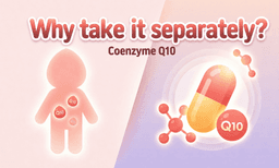 Coenzyme Q10: Why Do We Need to Take It Separately If Our Bodies Make It Themselves?