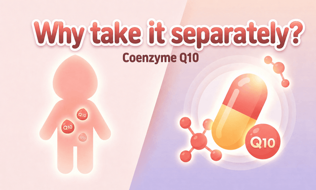 Coenzyme Q10: Why Do We Need to Take It Separately If Our Bodies Make It Themselves?