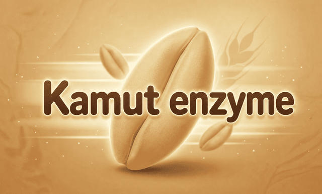 Can a 6,000-Year-Old Wheat Handle Digestion, Blood Sugar, and Inflammation All at Once? â Kamut Enzyme
