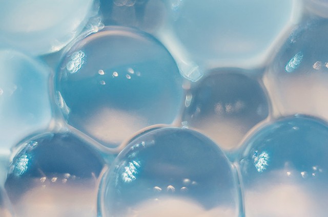 Which Collagen Supplement Should You Choose?