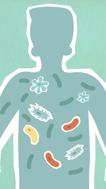 Probiotics, Let's Learn About It!