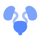 Urinary health